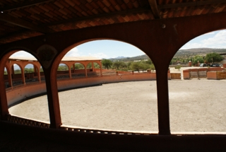  Lienzo Charro 